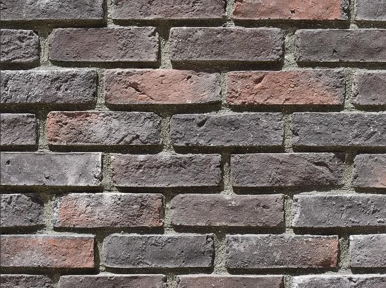 DS 011