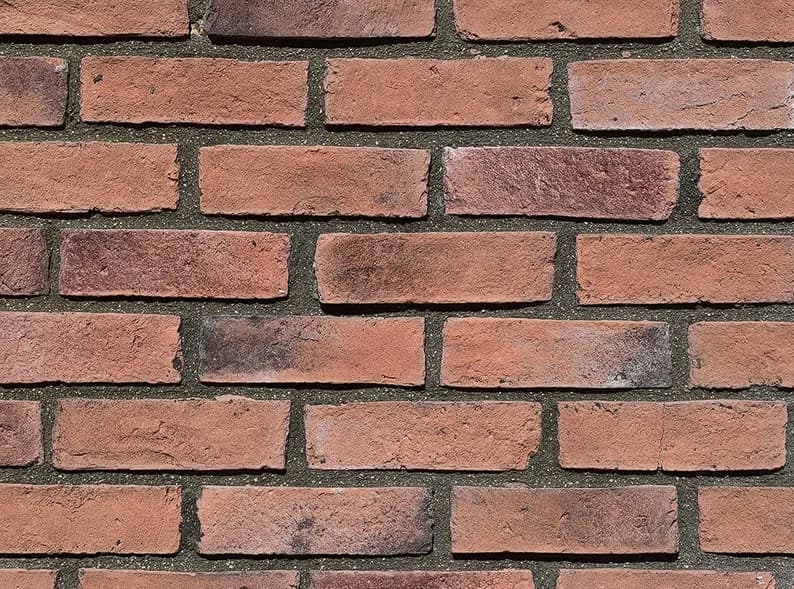 DS 016