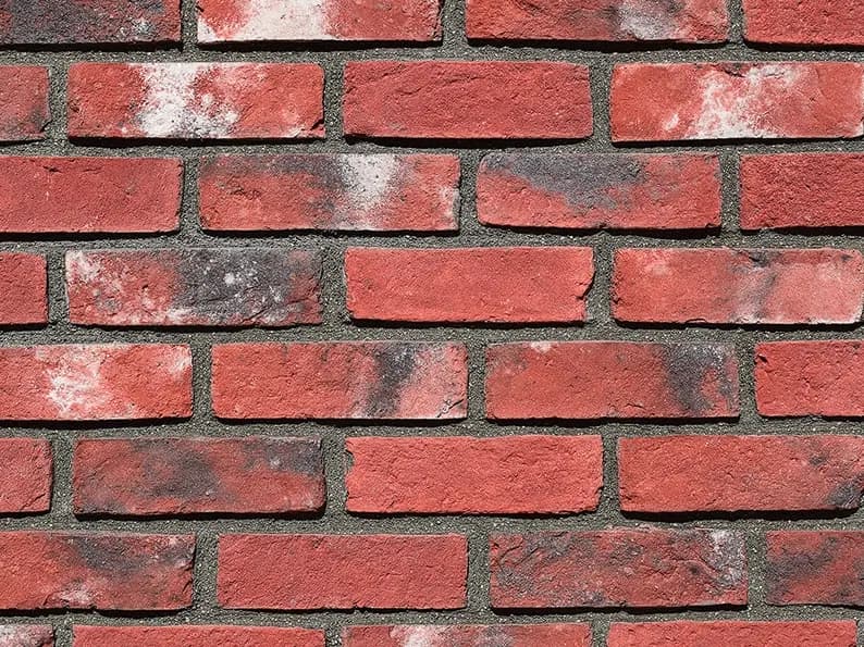 DS 017