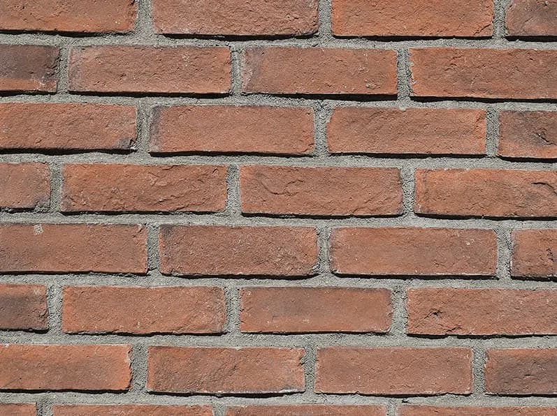 DS 019